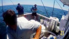 Wicked Tuna S07E04 Dont Quit Your Day Job 720p HDTV x264-DHD EZTV