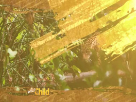 Wild Child S03E07 480p x264-mSD EZTV