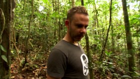 Wild Things with Dominic Monaghan S01E06 Army Ants iNTERNAL 720p WEBRip x264-CAFFEiNE EZTV