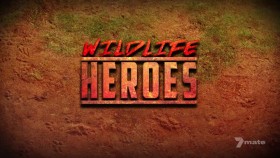Wildlife Heroes S01E02 1080p HDTV H264-CBFM EZTV
