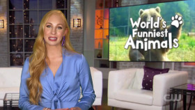 Worlds Funniest Animals S02E05 720p WEB h264-WEBTUBE EZTV