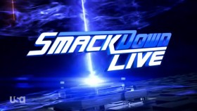 WWE Smackdown Live 2019 07 16 720p HEVC x265-MeGusta EZTV