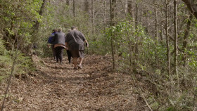 1000-lb Best Friends S03E07 1080p WEB h264-FREQUENCY EZTV