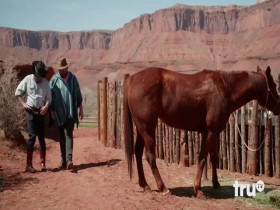 101 Places to Party Before You Die S01E07 480p x264-mSD EZTV