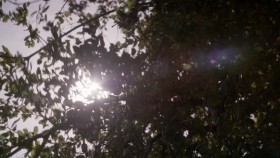 16 and Pregnant S06E04 1080p WEB h264-BAE EZTV