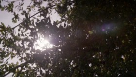 16 and Pregnant S06E04 720p WEB h264-BAE EZTV