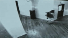 20-20 2024 10 11 Can I Prey First 720p WEB h264-EDITH EZTV