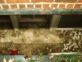 20-20 2024 12 13 Forever Young 480p x264-mSD EZTV