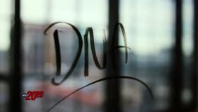 20-20 2024 12 13 Forever Young 720p HEVC x265-MeGusta EZTV