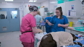 24 7 Pet Hospital S01E02 1080p WEBRip x264-CBFM EZTV