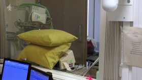 24 Hours in A and E S33E02 1080p HEVC x265-MeGusta EZTV