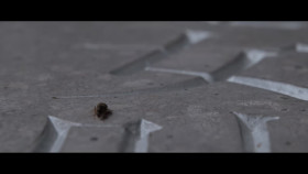 3 Body Problem S01E07 1080p HEVC x265-MeGusta EZTV