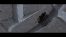 3 Body Problem S01E07 1080p WEB H264-StereotypedGazelleOfWondrousPassion EZTV