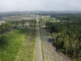 48 Hours S36E09 480p x264-mSD EZTV