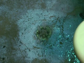 60 Days In S09E14 480p x264-mSD EZTV