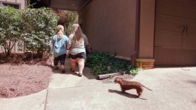 7 Little Johnstons S08E04 Are You Gonna Marry Liz 1080p WEB h264-KOMPOST EZTV