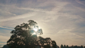 7 Little Johnstons S11E07 1080p WEB H264-SPAMnEGGS EZTV