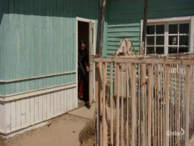 9-1-1 S07E08 480p x264-mSD EZTV