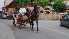 90 Day Fiance Before the 90 Days S07E18 1080p HEVC x265-MeGusta EZTV