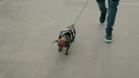 90 Day Fiance UK S03E11 1080p HEVC x265-MeGusta EZTV