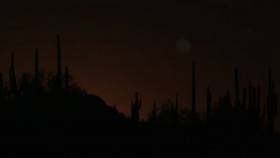 90 Day The Last Resort S02E07 REPACK 1080p HEVC x265-MeGusta EZTV