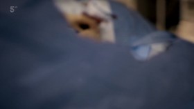 999 Critical Condition S02E08 720p HDTV x264-DARKFLiX EZTV