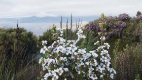 A Girls Guide to Hunting Fishing and Wild Cooking S01E03 1080p HDTV H264-CBFM EZTV