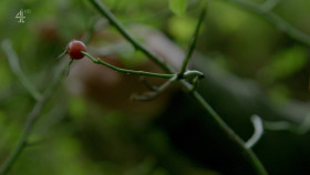 A Lake District Farm Shop S02E05 1080p HDTV H264-DARKFLiX EZTV