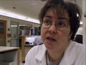 A Lion in the House S01E01 1080p WEB H264-STRONTiUM EZTV
