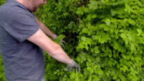 A New Life In The Sun S09E03 XviD-AFG EZTV