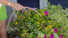 A New Life In The Sun S09E35 1080p WEB H264-CBFM EZTV