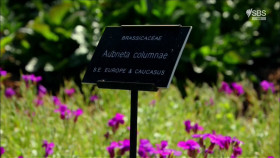 A Short History Of The English Garden S01E02 1080p HDTV H264-CBFM EZTV