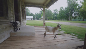 Abandoned Engineering S13E02 1080p WEB h264-CODSWALLOP EZTV