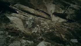 Accident Suicide or Murder S05E12 1080p HEVC x265-MeGusta EZTV