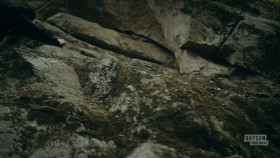 Accident Suicide or Murder S05E12 720p HEVC x265-MeGusta EZTV