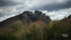 Accident Suicide or Murder S05E12 XviD-AFG EZTV