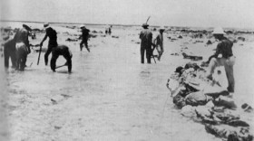 Across the Pacific S01 WEBRip x264-ION10 EZTV