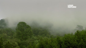 Africas Hidden Kingdoms S01E02 iNTERNAL 2160p UHDTV H265-CBFM EZTV