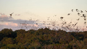 Airborne S01E04 Flight Path 1080p NOW WEB-DL DDP5 1 H 264-RAWR EZTV