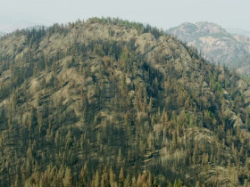 Alaskan Bush People S13E03 Little River and the Big Sea 480p x264-mSD EZTV