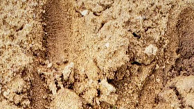 Alien Encounters Fact or Fiction S01E02 Alien Inside Me 720p MAX WEB-DL DD 2 0 H 264-playWEB EZTV