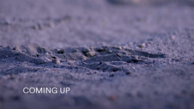 Alien Encounters Fact or Fiction S01E02 XviD-AFG EZTV