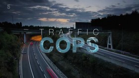 All New Traffic Cops S08E10 XviD-AFG EZTV