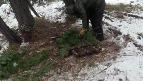 Alone S08E07 Surrounded REPACK 1080p AMZN WEB-DL DDP2 0 H 264-FLUX EZTV