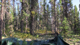 Alone S10E01 Game On REPACK 1080p AMZN WEB-DL DDP2 0 H 264-FLUX EZTV