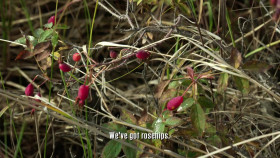 Alone S11E00 Before the Drop 1080p WEB h264-EDITH EZTV