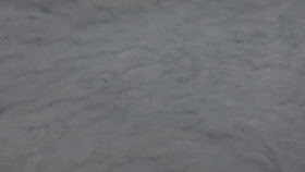 Alone S11E03 XviD-AFG EZTV