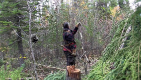 Alone S11E05 1080p WEB h264-EDITH EZTV