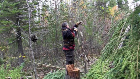 Alone S11E05 XviD-AFG EZTV