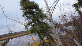 Alone S11E07 1080p HEVC x265-MeGusta EZTV